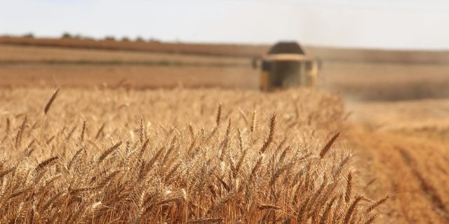 Ukrayna'dan tarım ürünleri ithalatında belge kolaylığı