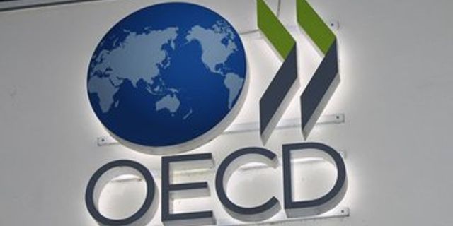 OECD'den Türkiye'nin büyümesi için yeni tahmin