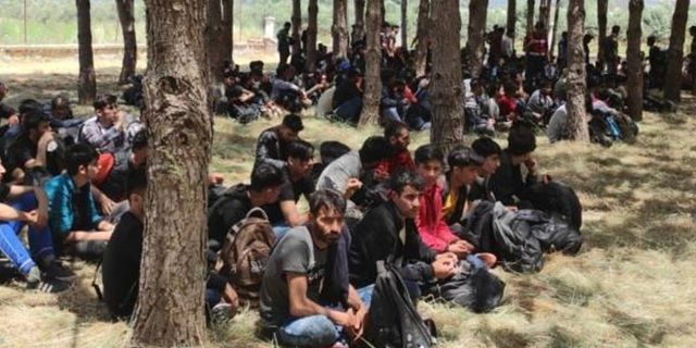 Jandarma Genel Komutanlığı bir haftada yakalanan göçmen sayısını açıkladı