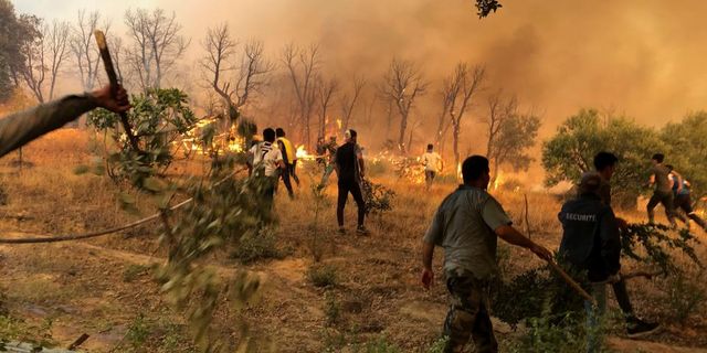 Cezayir’de orman yangınlarına karşı yüksek alarm durumu ilan edildi