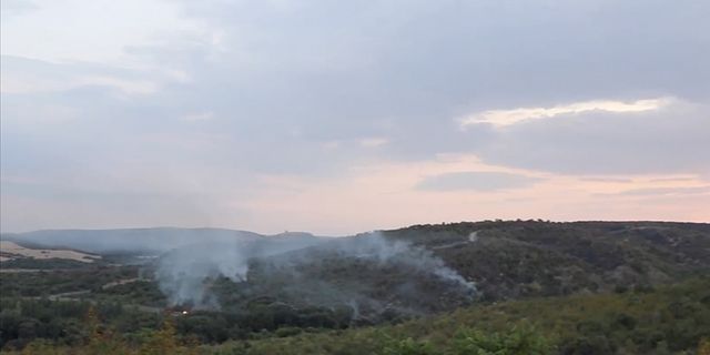 Bulgaristan'da askerler patlayıcı madde imha ederken yangın çıktı