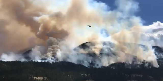 İtalya'nın batısındaki orman yangınında 120 kişi tahliye edildi