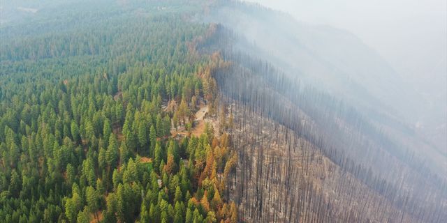California'daki orman yangınında 11 binden fazla kişi tahliye edildi