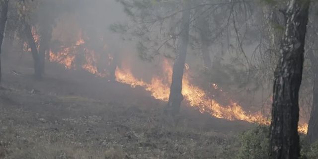Hatay'da ormanlık alanda yangın çıktı
