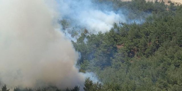 Manisa'da ormanlık alanda yangın çıktı