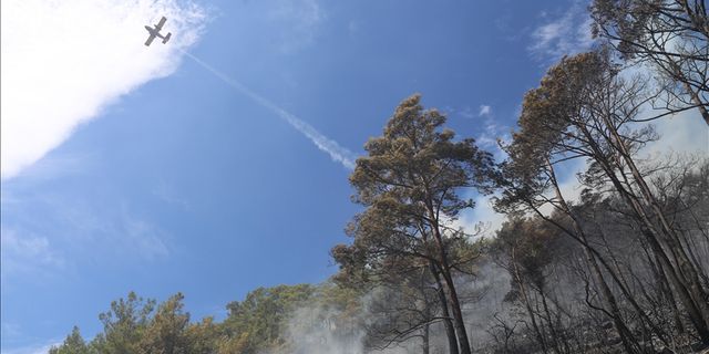 Marmaris'teki orman yangınına havadan ve karadan müdahale sürüyor