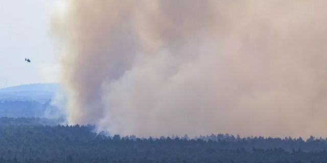Harz Dağları'nda orman yangını çıktı! Almanya acil durum ilan etti