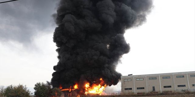 Denizli'de kimya fabrikasında yangın