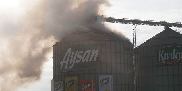 Edirne'de yağ fabrikasında yangın