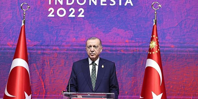 Cumhurbaşkanı Erdoğan: Rusya'nın 'Bizimle bu işin alakası yoktur' demesi önemli