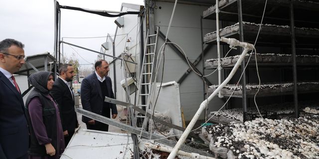 Sakarya Valisi, Düzce depreminde hasar gören binaların sayısını açıkladı