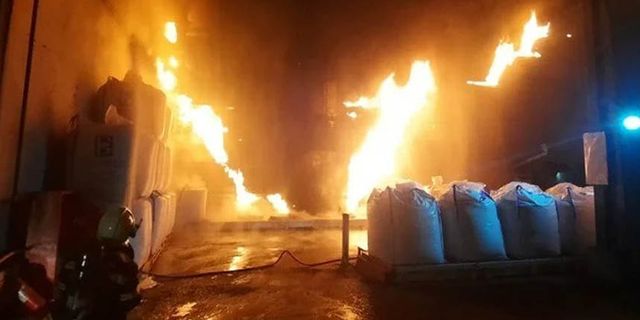 Muğla'da yem fabrikasında yangın