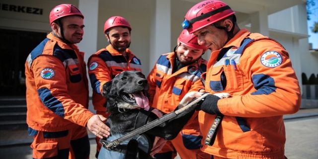 Enkazdan çıkarılan köpek kendisini sahiplenen ekiple hayat kurtaracak