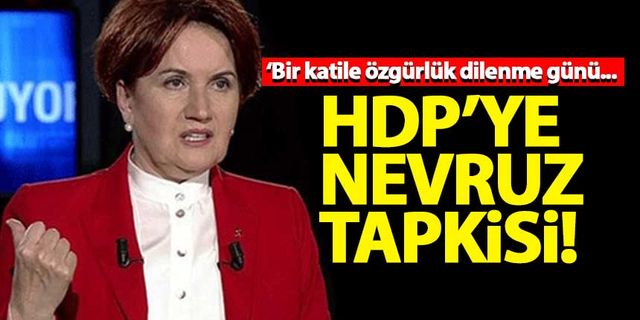 Akşener'den HDP'ye: Nevruz katile özgürlük dilenme günü değildir