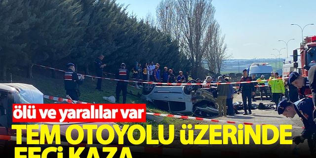 İstanbul'da TEM Otoyolu'nda feci kaza: 6 ölü 3 yaralı