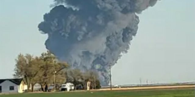 Teksas'ta mandıra yangını: 18 bin inek telef oldu