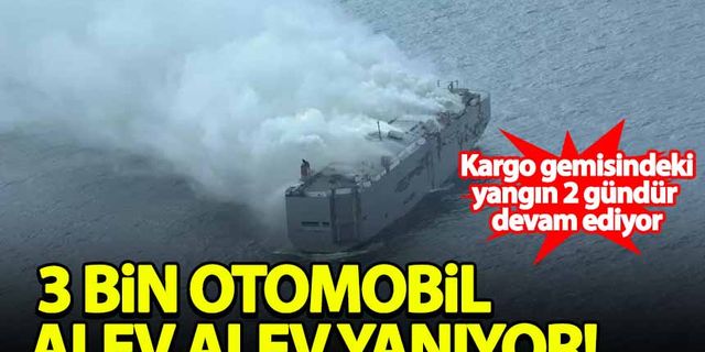 Almanya'dan Mısır'a giden gemide yangın: 3 bin otomobil alev alev yanıyor