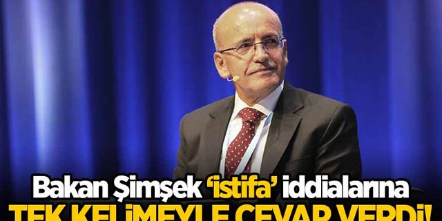 Bakan Şimşek'ten 'istifa' iddialarına tek kelimelik cevap!