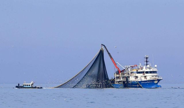 Balıkçılıkta av sezonu başlıyor
