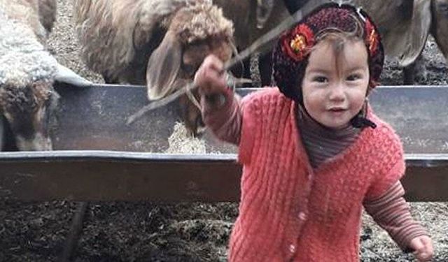 Dedesi babası çıkmıştı! Müslüme Yağal'ın ölümüne ilişkin davada karar çıktı