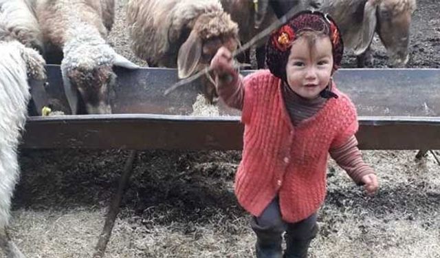 Müslüme'nin öldürülmesine ilişkin davada flaş karar! Dedeye beraat...
