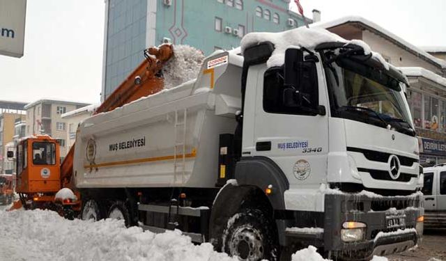 Feyat Asya: Muş'ta günde 200 kamyon kar şehir dışına taşınıyor