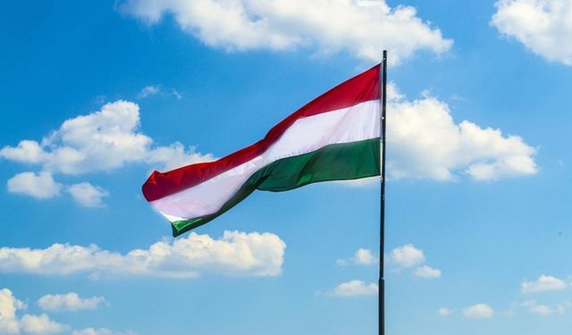Macaristan'dan İsveç açıklaması: Türkiye ile birlikte hareket edeceğiz