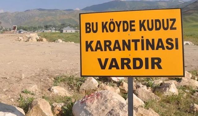 Artvin'de 3 köy kuduz nedeniyle karantinaya alındı