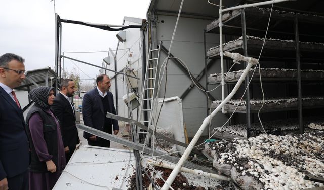 Düzce'de depremin ardından başlatılan hasar tespit çalışmalarında sona gelindi