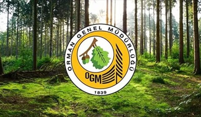 OGM 1128 sözleşmeli orman muhafaza memuru alacak