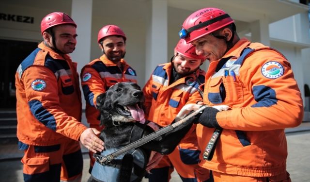 Enkazdan çıkarılan köpek kendisini sahiplenen ekiple hayat kurtaracak