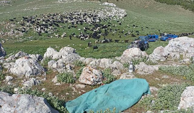 Karaman'da kayınbiraderini bıçakla öldüren kadın gözaltına alındı