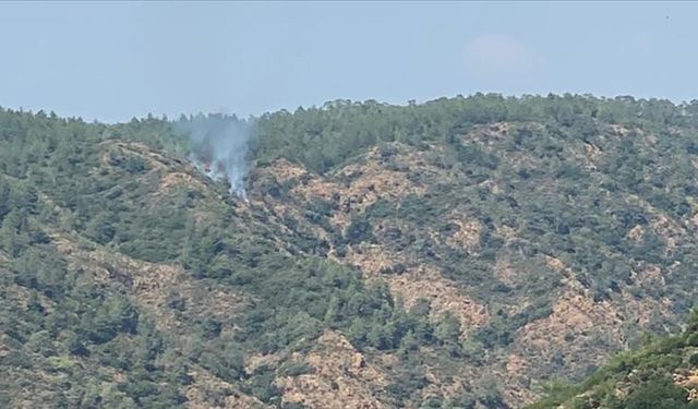 Marmaris'te çıkan orman yangını söndürüldü