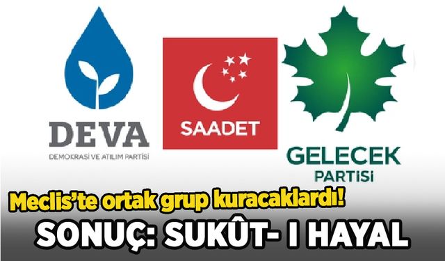 DEVA Partisi’nden onay çıkmadı: Meclis'te grup kurma hülyaları son buldu