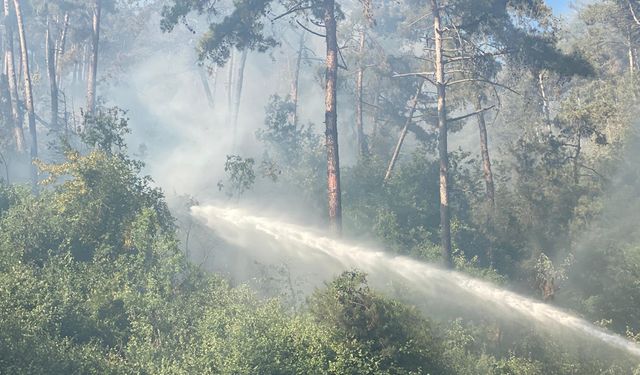Köyceğiz'de çıkan orman yangınına müdahale ediliyor