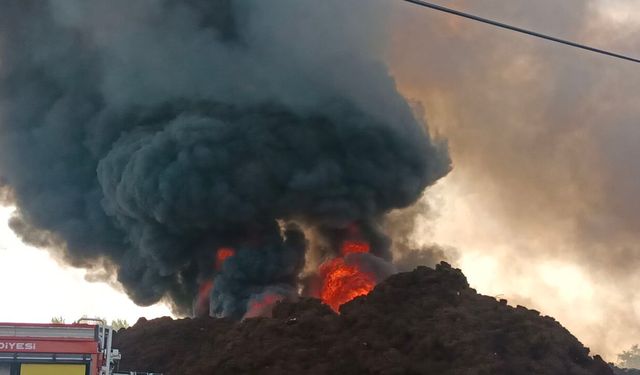 Kocaeli'de geri dönüşüm fabrikasında çıkan yangına müdahale ediliyor