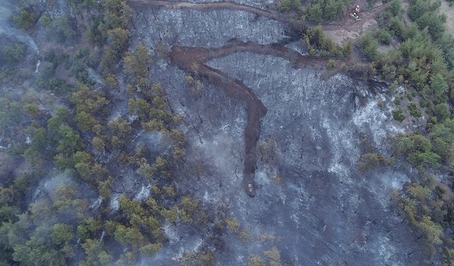 Çanakkale'deki orman yangınına müdahale ediliyor