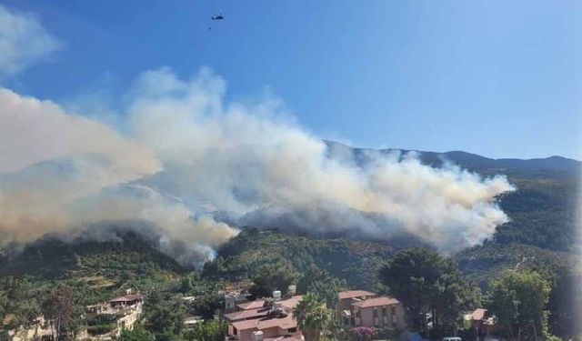 Hatay'da orman yangını! Havadan ver karadan müdahale ediliyor