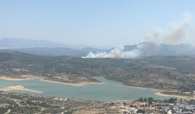 Muğla'da orman yangını: Havadan ve karadan müdahale sürüyor