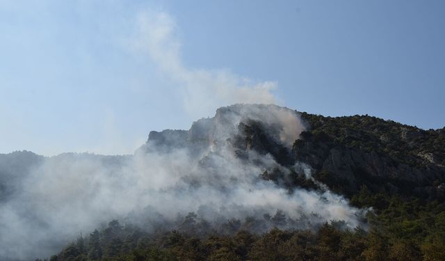 Bilecik'te çıkan orman yangını kısmen kontrol altına alındı