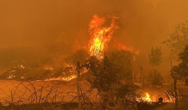 Çanakkale’de orman yangını