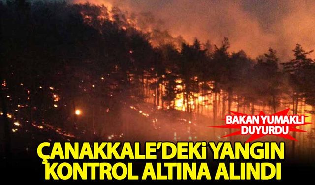 Bakan Yumaklı duyurdu: Çanakkale'deki orman yangını kontrol altına alındı