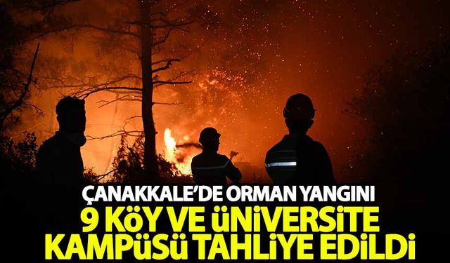 Çanakkale'de orman yangını! 10 köy ve üniversite kampüsü boşaltıldı!