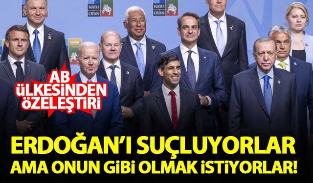 AB ülkesinden özeleştiri: Erdoğan'ı suçluyorlar ama onun gibi kazanmak istiyorlar!