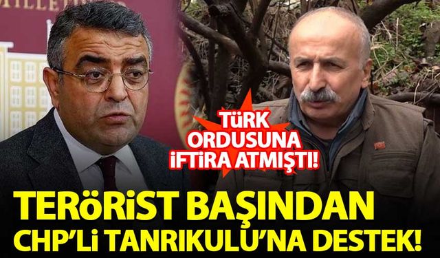 Terörist başı Karasu'dan CHP'li Tanrıkulu'na destek