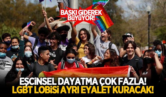 LGBT lobisi ayrı bir eyalet kuracak!