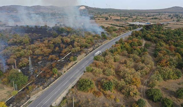 Edirne'de yol kenarında çıkan yangın söndürüldü