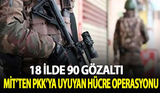PKK/YPG'nin uyuyan hücrelerine operasyon: 18 ilde 90 gözaltı