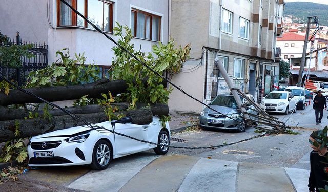 Bursa'da lodos nedeniyle ağaç ve elektrik direği araçların üzerine devrildi