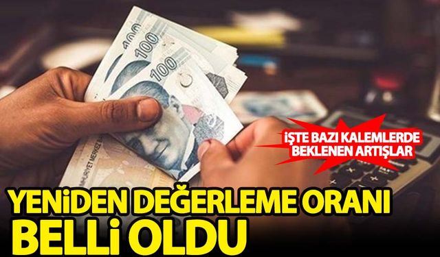2024 yılı yeniden değerleme oranı belli oldu